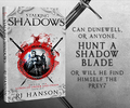 Stalking Shadows bookbub.png